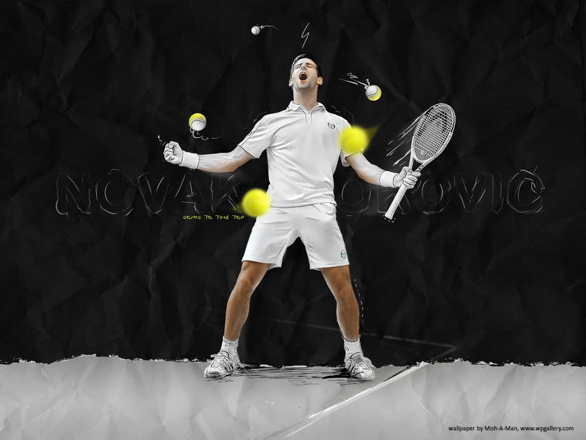 Novak Djokovic for 1152 x 864 resolution