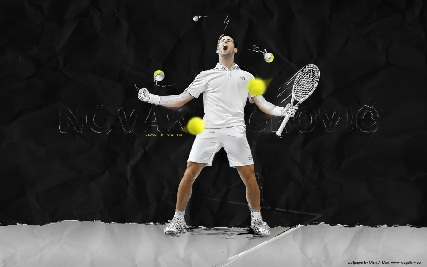 Novak Djokovic for 1440 x 900 widescreen resolution