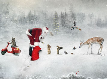 Christmas Magic Wallpaper
