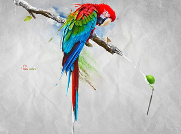 I love colors Wallpaper