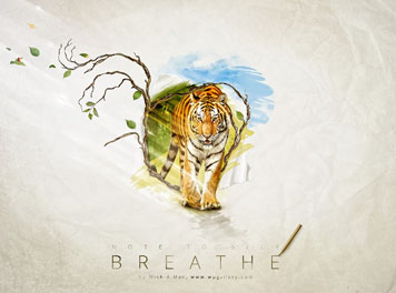 Breathe Wallpaper